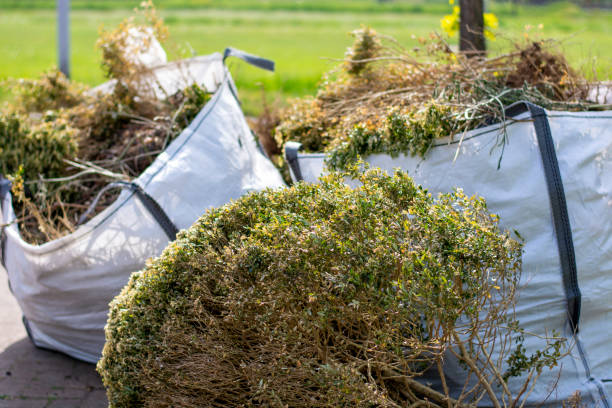Best Trash Removal Near Me  in Stanhope, NJ